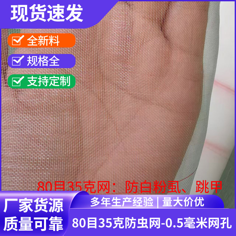 加密80目防虫网蔬菜大棚防虫防小黑虫跳蚤全新料尼龙网厂家批发