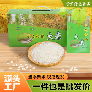 �S�����l���B��������10���|�Gɫ�aƷ�K�ϴ������l�Y���b