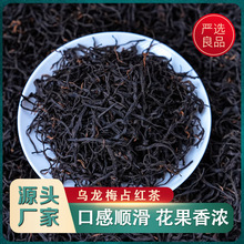 梅占红茶 2023新茶春茶散装梅占红茶 500g批发单芽花果香滇红茶