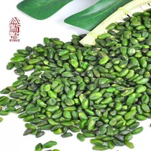 【伊朗进口绿色开心果仁 】果酱烘培甜品用优质原料