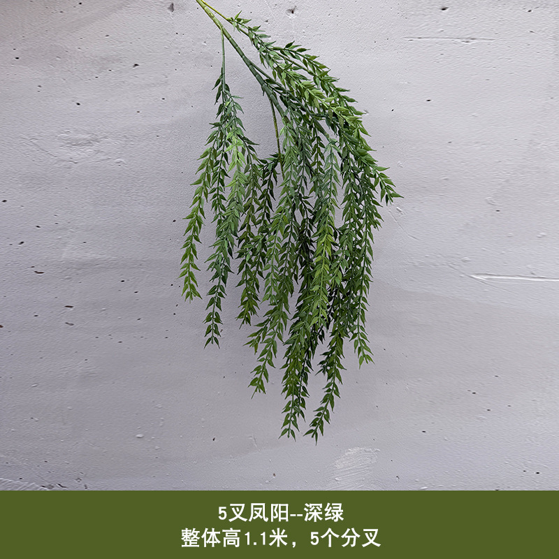 5갈래 펑양 - 녹색