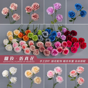 ��������õ�廨���^��������ٻ��b�õ���ٲ�����c���滨��Y��
