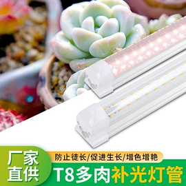 植物生长灯;节能灯;风扇灯