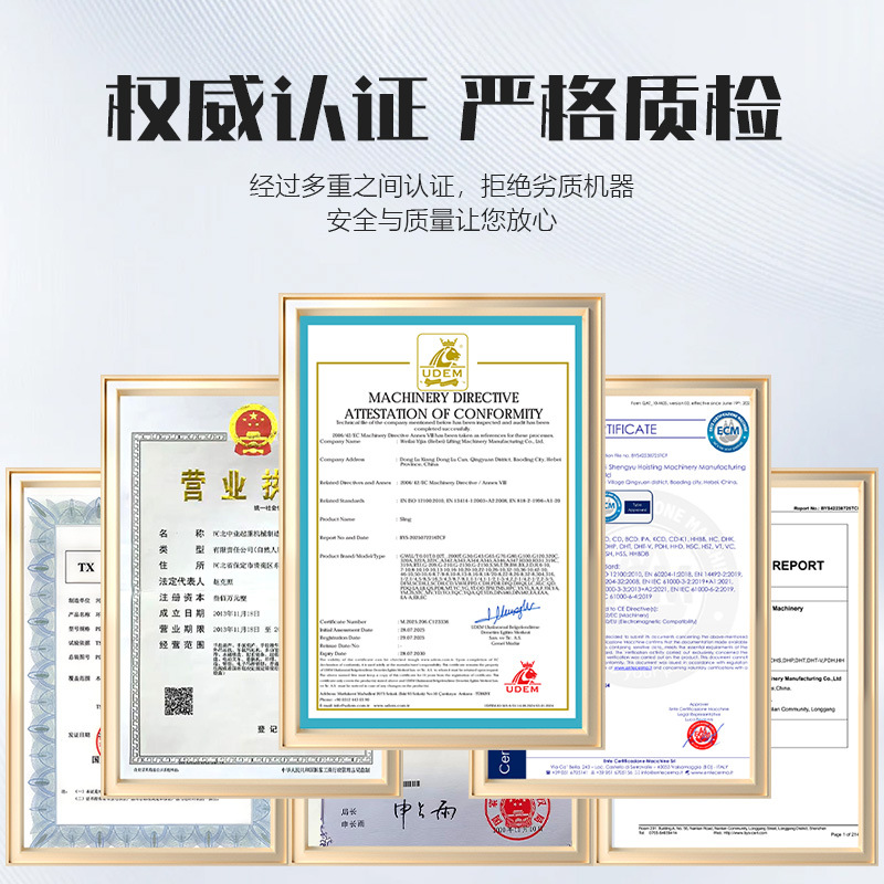 Mini elevadora eléctrica 220v doméstica control remoto inalámbrico pequeña grúa de una tonelada pequeña elevadora cables de acero cabrestante