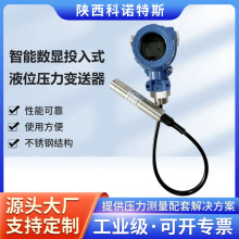 变送器智能数显投入式液位压力变送器HART防爆型高精度水位传感器