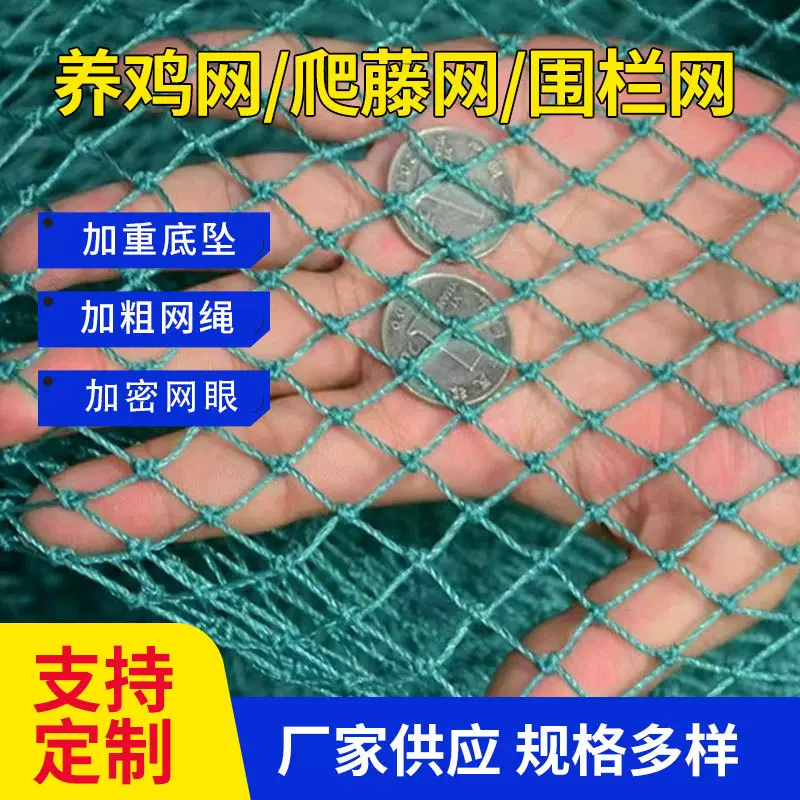 鱼塘防鸟网葡萄天网小孔养鸡围栏网尼龙家禽养殖网爬藤网渔网户外