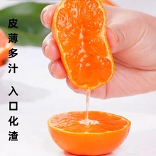 正宗临海涌泉蜜桔新鲜无核薄皮桔子10斤整箱当季水果现摘现发