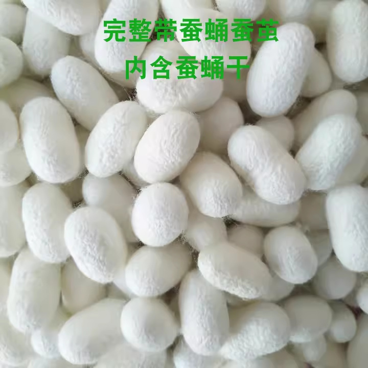 Complete Dried Cocoon White Cocoon Face Wash Beauty Medicine Tea and Silk Cocoon Shell Silkworm Baby Silk Fan Handmade