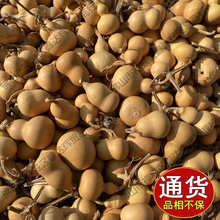 С���Jһ��؛Դ�����^��Ȼ����С����������ؔ����湩���找����