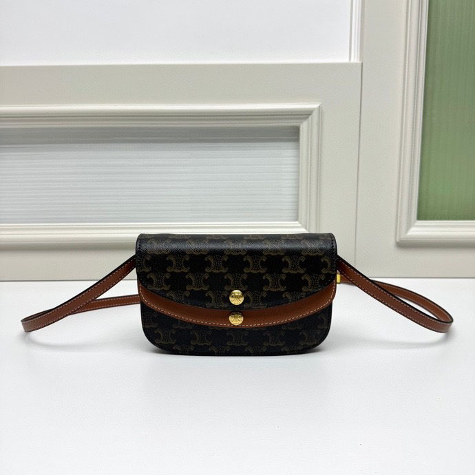 Arc De Triomphe 2025 New Triomphe Canvas and Calfskin Duo Shoulder Bag