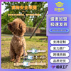定制发光项圈宠物大型犬狗脖圈脖子牵引绳可伸缩狗绳狗狗链子