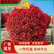 һlt~ʯ骘tʯͥԺԵԾGhGľ