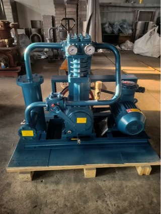Zw0.8/10-16 Liquefied Gas Compressor Air Compressor Manufacturer's Special Offer for Special Gas Compressor Air Pump