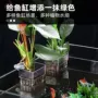 水培种植壁挂式家用鱼缸