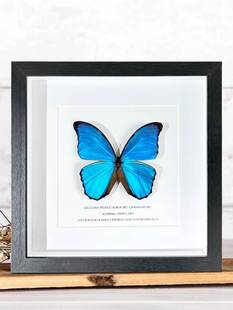 ?���{�W��������˱��b����s���P���ľ����[��С���|�۶Y