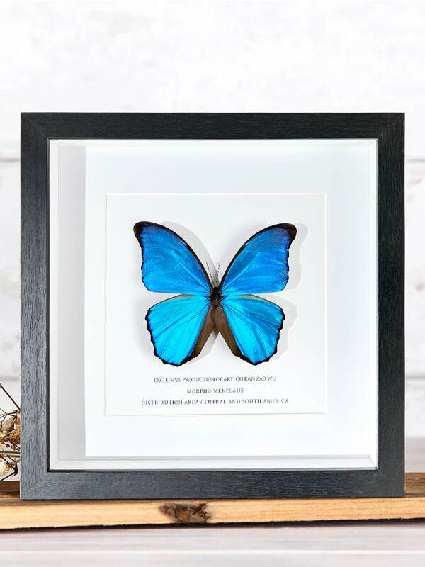 ♤ Large Blue Morpho Butterfly Specimen Decorative Painting, Simple Entryway Wall Decor, Solid Wood Picture Frame Ornament, Niche Gift for Close Friends