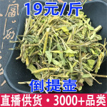 倒提壶 蓝布裙 狗屎花 狗屎萝卜 狗屎蓝花批发代发