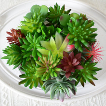 �������ֲ��Gֲ�b�Ʒ�������҃��k����С�[���M�������辰