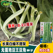 �T���r�o���ض������ǷN�� �����ʡ���ض��ǷN�� �ˈ@�r���߲���