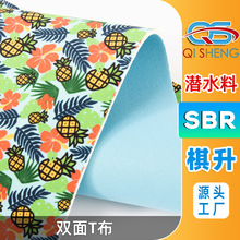 �S��һվʽ����ӡ����ˮ�ϱ�����X����~ѝCR�ȶ����z SBR��ˮ��