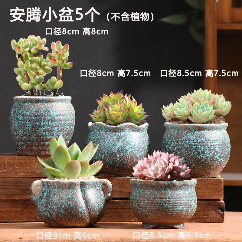Creative Ceramic Flower Pot, Handmade Factory Direct, Assorted Decorative Designs, Small 7–10 cm