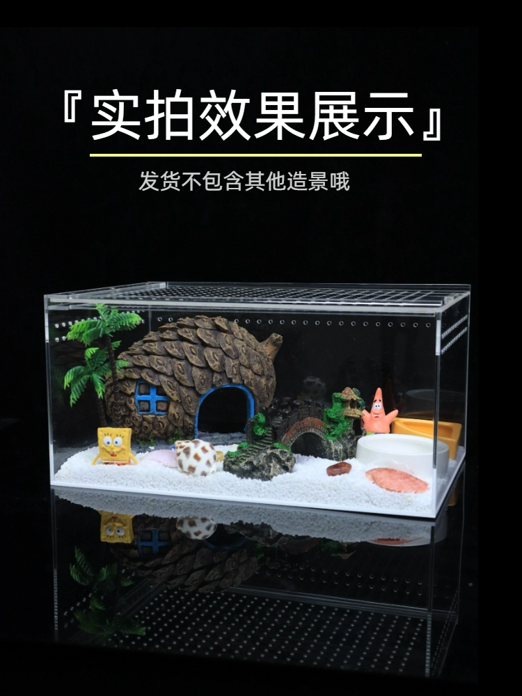 Хуаньцзю крабAvoid house large climbing pet tree holes to avoid ornaments, fish, shrimp, coconut shell horn frog to avoid landscape