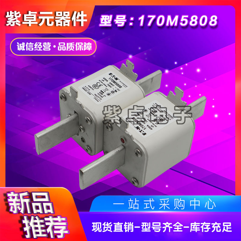 170M5808 170M5809 170M5810 170M5811 170M5812 170M5813保险丝