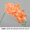 9-head film waterproof Phalaenopsis orange "Thickened"