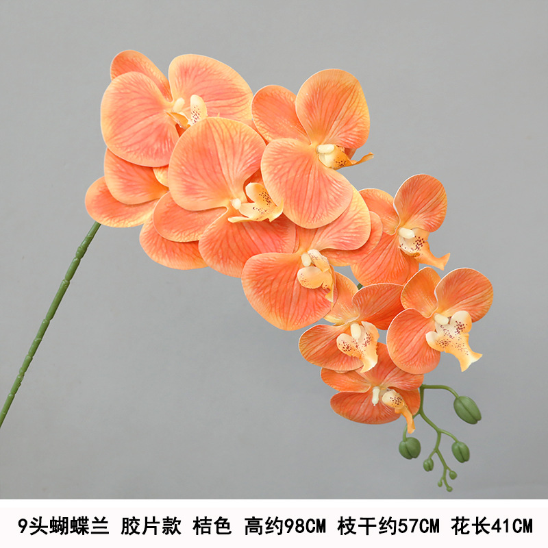 9-head film waterproof phalaenopsis orange "thickened"