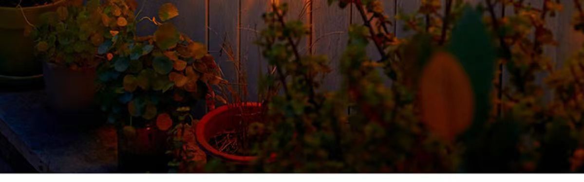 微信图片_20240311111635