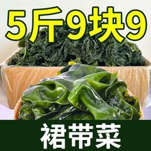 盐渍裙带菜海白菜海藻菜海带裙带菜凉拌菜麻辣烫火锅食材产地直供