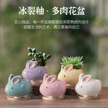 陶瓷可爱兔子多肉专用花盆创意卡通盆开片釉冰裂纹花盆办公桌摆件