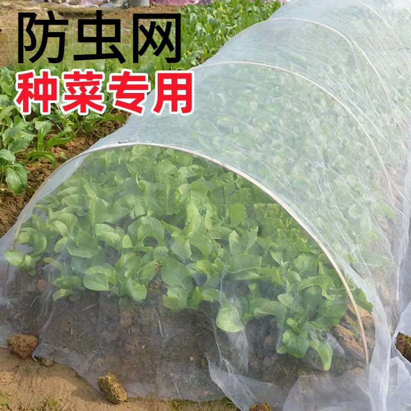 防虫网种菜专用目防虫罩加密纱网菜地果园网蔬菜防鸟罩菜园菜地