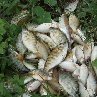 �~ζ�� ���oȫ���a�����~�w���C����~�~�D�D���w���C��