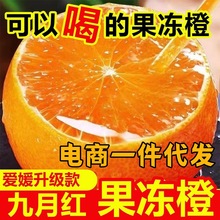 �������w���¼t������Ě�Ȯ���ԭ�a�����r�ЋDˮ���Fժ�F�lƤ��10