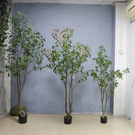 仿真马醉木假植物盆栽小型假树室内盆景装饰 塑胶杆假绿植仿真树
