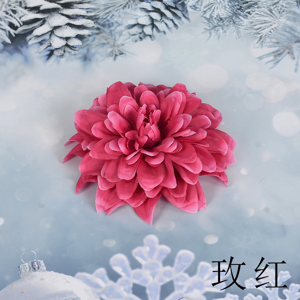 로즈 레드 SL 큰 epiphyllum 꽃 머리