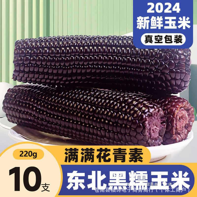 东北黑糯玉米10根新鲜甜糯苞米黑玉米早餐真空包装即食黏玉米包邮|undefined