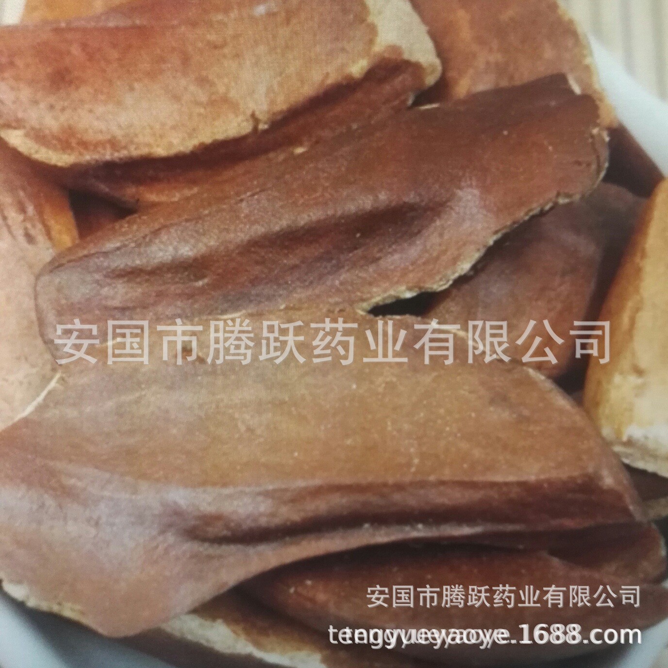 Xiang Tian Guo Seeds Dried Fructus Homalomena Herbal Raw Material 500g overview