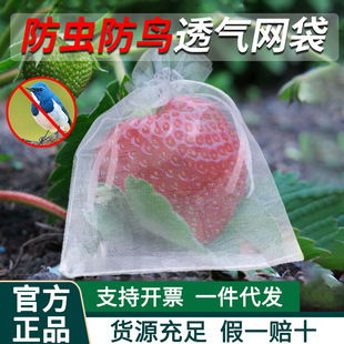 ˮ���״������W���������џo������ݮ���˷��B���x���o��͸��W��