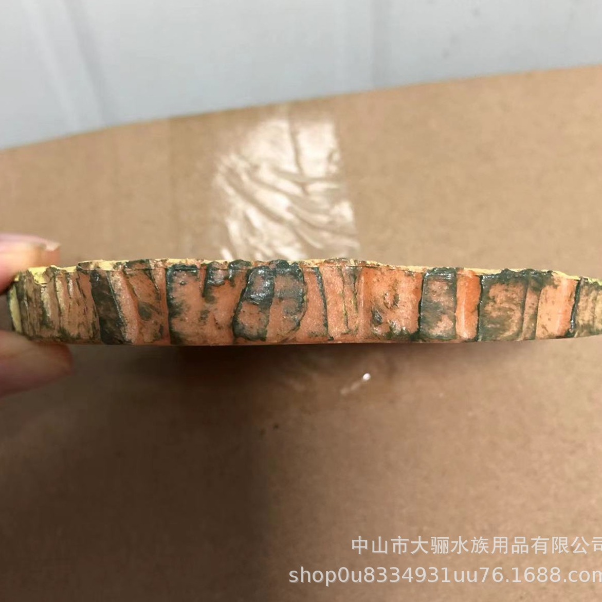 Crawler escalada mascota de agua dulce cuenca de agua de mar cangrejo ermitaño tortuga cuenca de agua cuenca de alimentos alimentación suministros de paisajismo