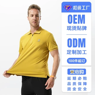 夏季冰感半拉链POLO衫潮流速干衣立领时尚跑步休闲男士设计感上衣