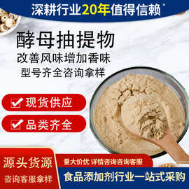安琪酵母抽提取物食品增鲜增味剂风味调节剂型号齐全YE酵母抽提物