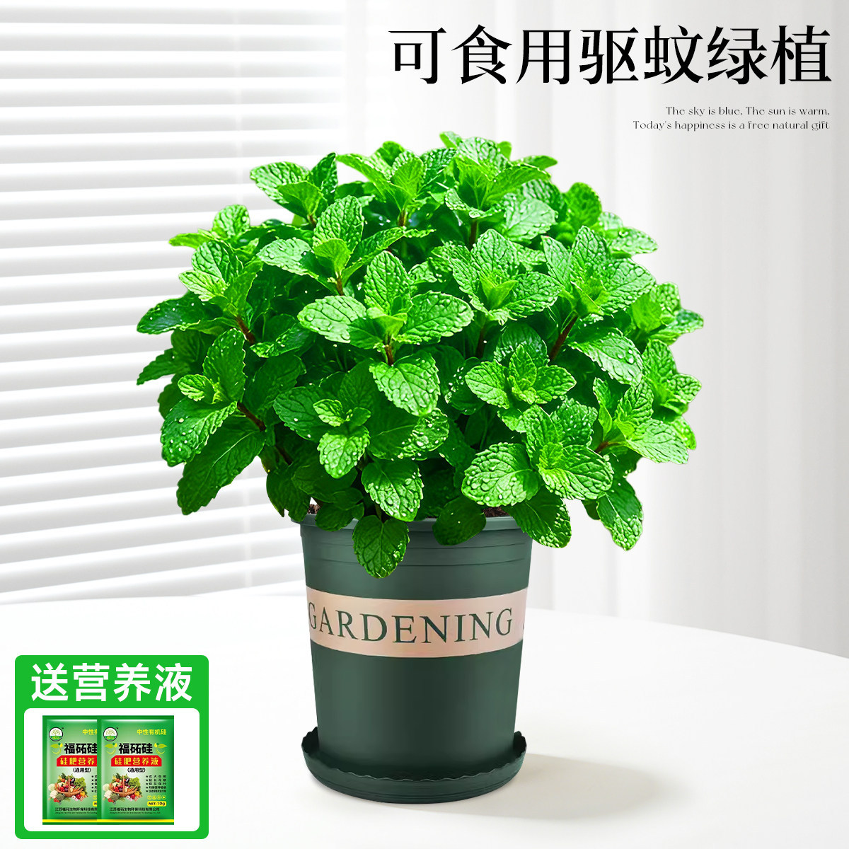 With simple planting pot