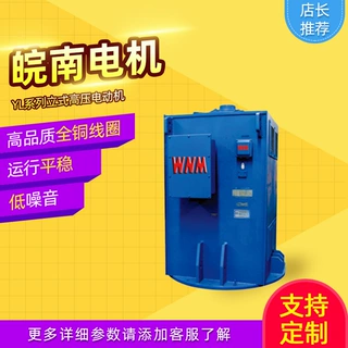 皖南电机YL系列立式高压三相交流异步电动机全铜线圈厂家直供