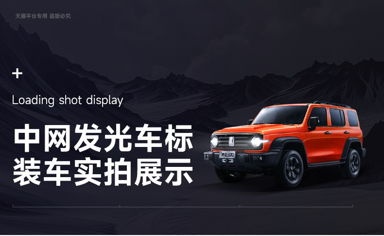 Tank 300 Luminous Car Logo with Light, Grille Logo Light, Led Streamer Decorative Light, Exterior Modification Accessories, Car Supplies