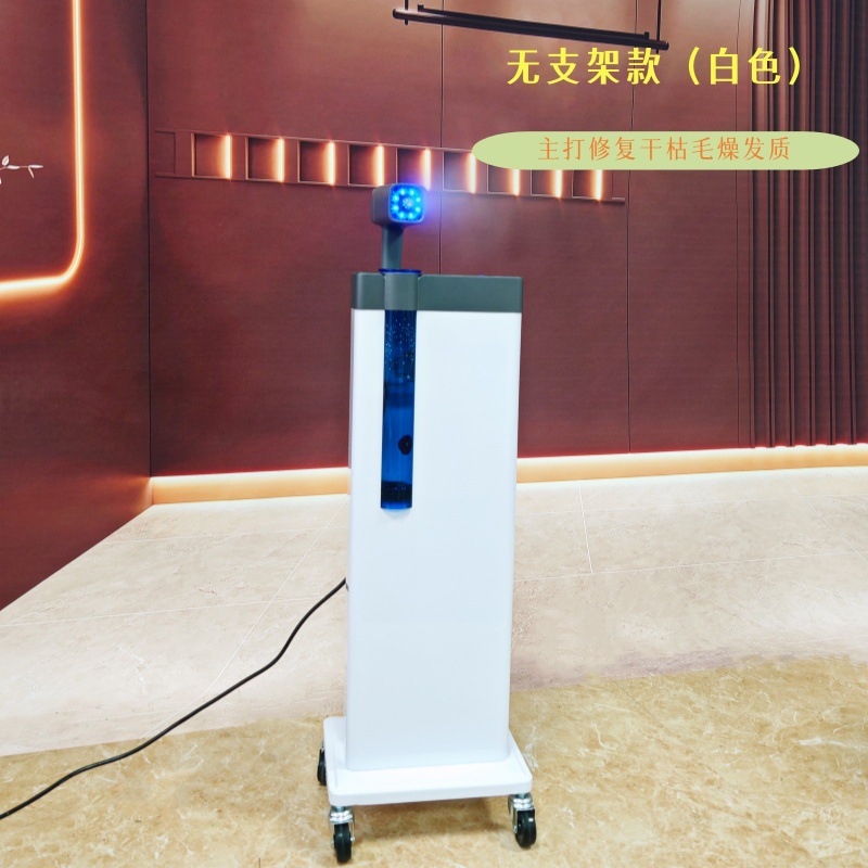 화이트 블루 라이트 나노 스프레이 케어 머신(고급 금속 주전자)