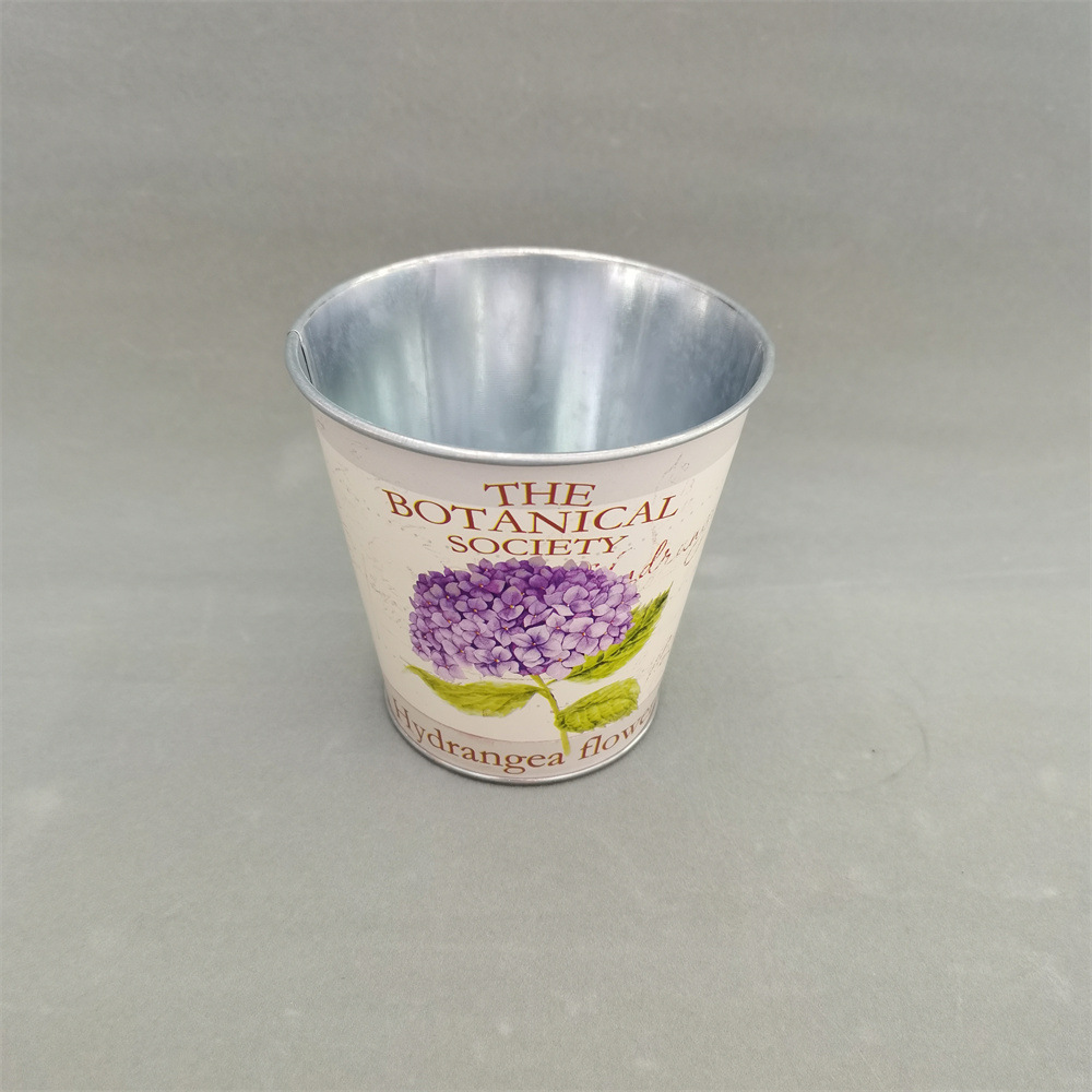 QQ图片20231116135929