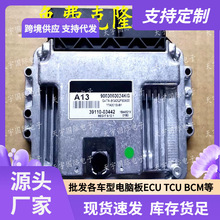 ECU MEG17.9.12.1 �����ִ����������԰� A13 39110-03442