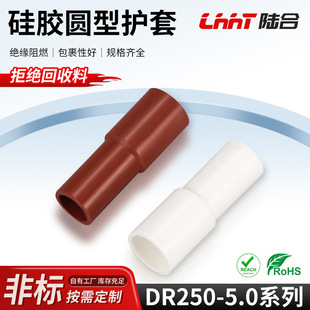 �S�ҹ����Ӻ���zdr250-5.0�A�ζ����o�� �^�����|�o�׽��^���o��